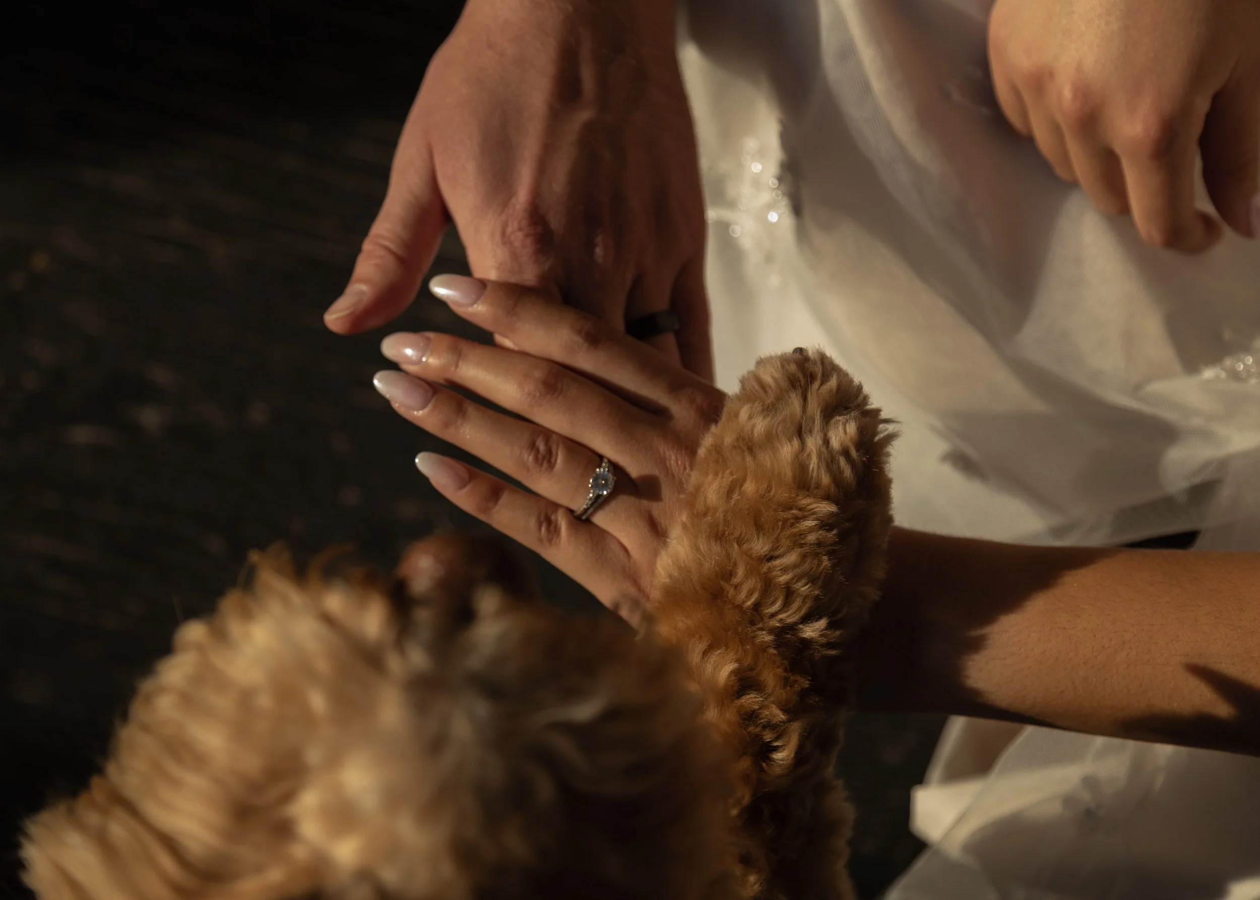 Wedding Portfolio 2024-47.jpg