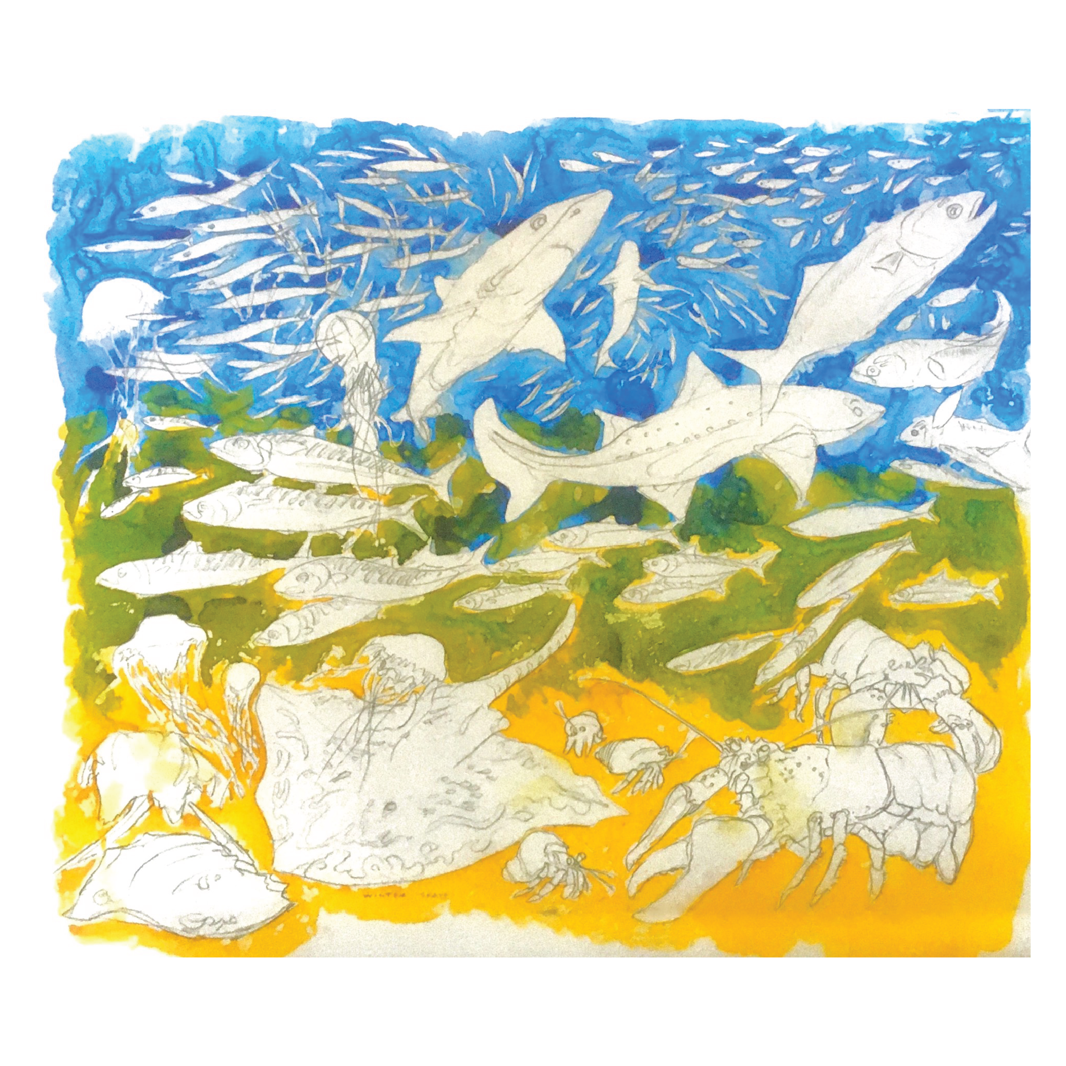 Mark Adams, Painting, Colorful illustration of various sea creatures including fish, sharks, rays, crabs, and other marine life in a vibrant underwater scene with a sun in the background.