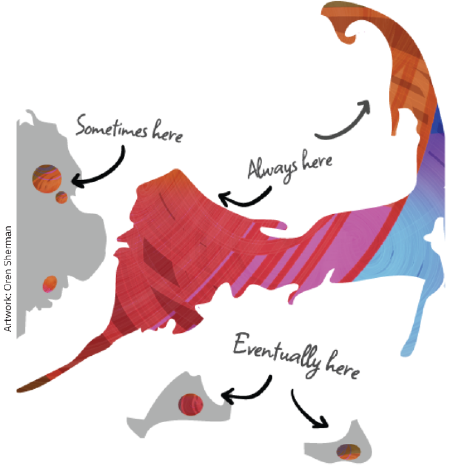 AFCC Arts Foundation of Cape Cod Map Graphic