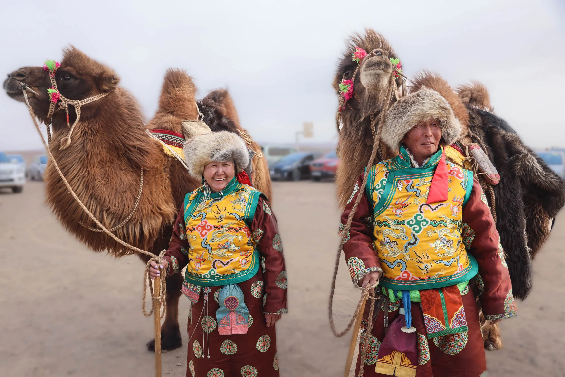 Gobi Desert, Mongolia