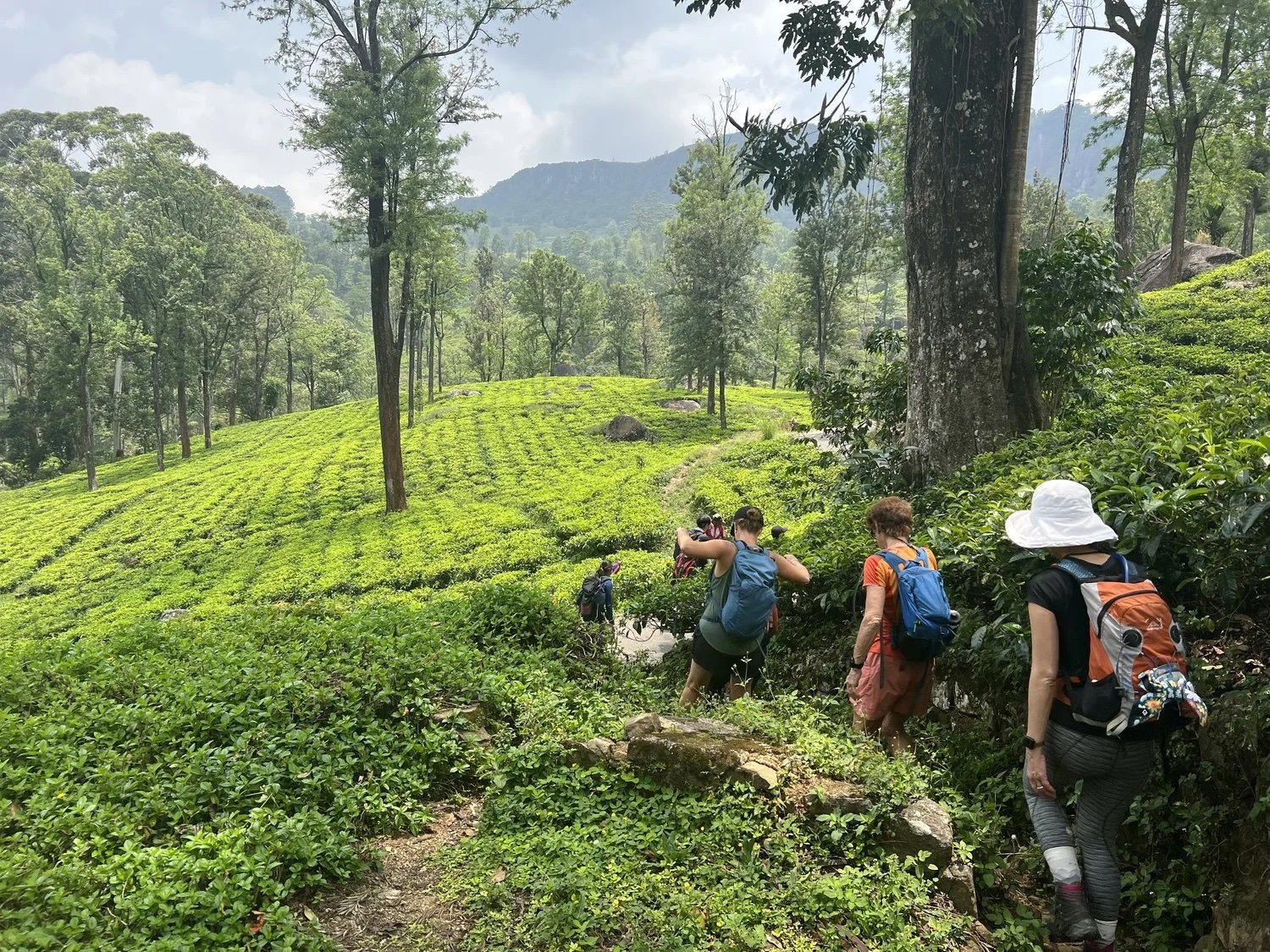 Knuckles Mountain Range, Sri Lanka