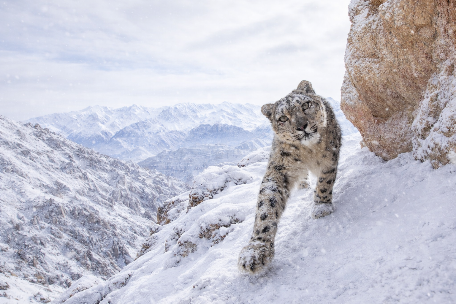Ladakh, India