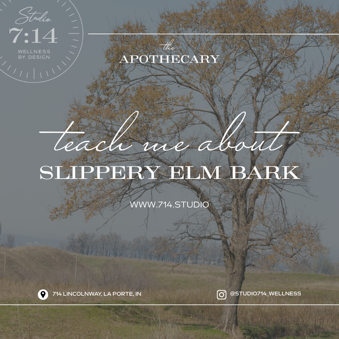 SLIPPERY ELM BARK (Ulmus rubra)