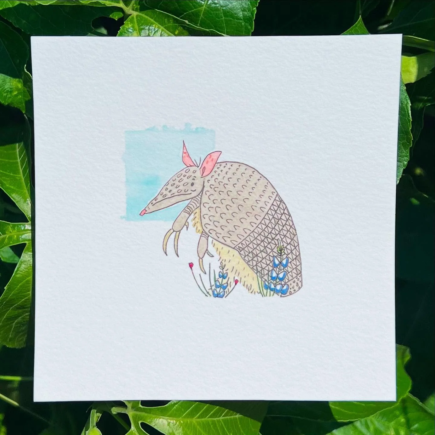 Armadillo by morning. 🎶☀️😜 See you tonight at the New Moon Market at Tillery! I&rsquo;ll have tiny hand-painted critters, cacti, and Texas landscapes galore. 🌙✨

&bull;
&bull;
&bull;
&bull;
&bull;
&bull;
&bull;
#armadillo #handdrawn #handmade #ill