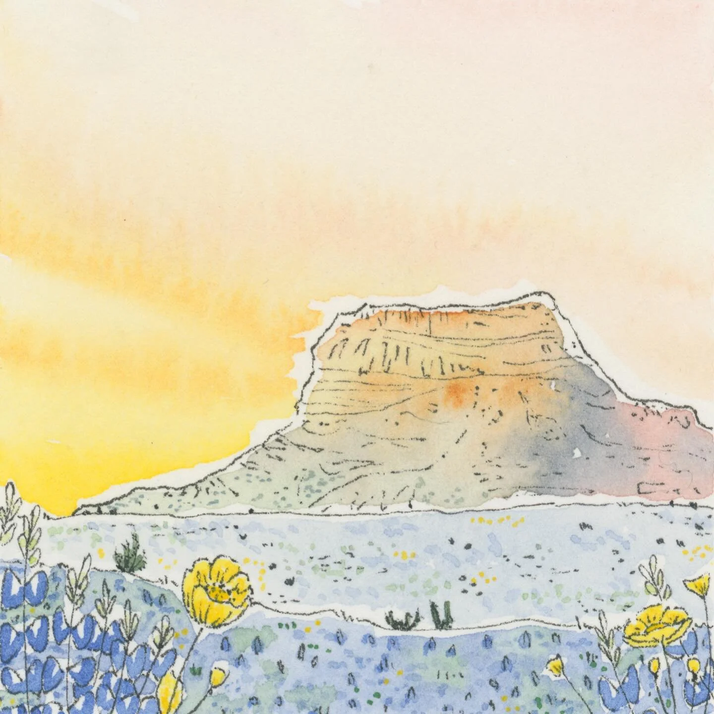 One of my favorites left behind in Marfa along with some desert inspiration I took with me. 
&bull;
&bull;
&bull;
&bull;
&bull;
&bull;
&bull;
#agavefestival #handdrawn #marfa #painting #watercolor #westtexas