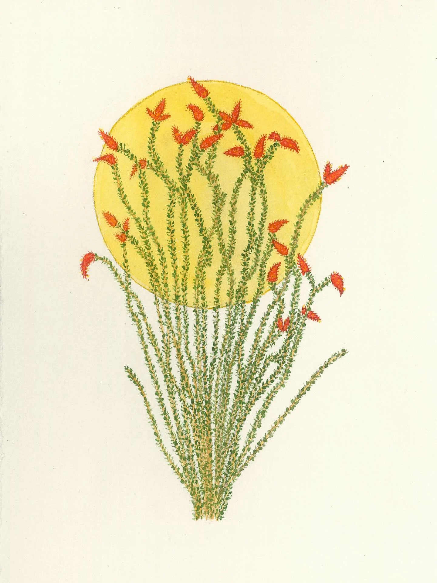 Every time I see an ocotillo soaring up into the sky in West Texas, I&rsquo;m overcome with the ill-advised urge to run up and give it a hug. Yesterday, I had the same feeling about everyone who showed up for the Austin Studio Tour. ❤️ I&rsquo;m send