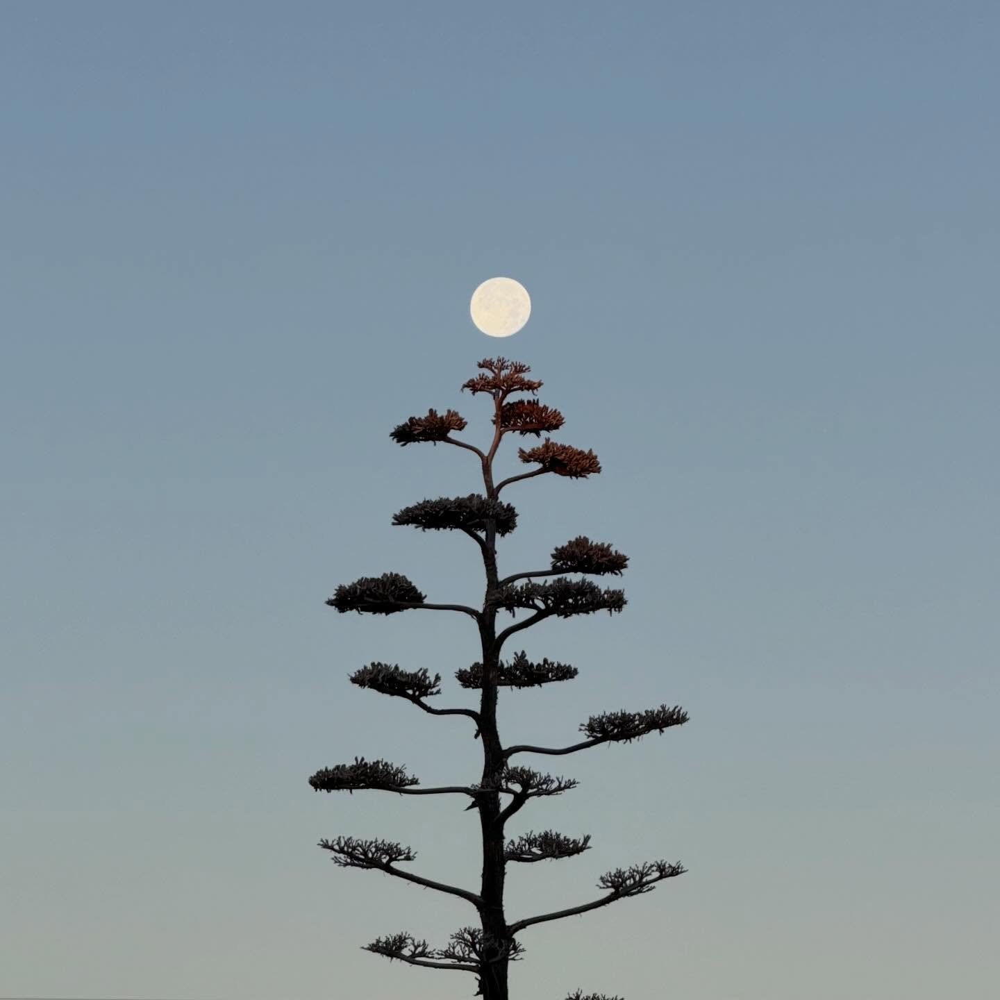 So far. So good. 2026.