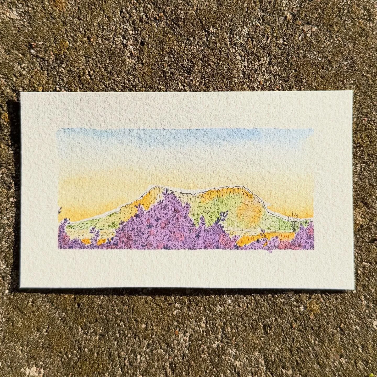 Springtime in Texas! It&rsquo;s such a simple gift in the midst of *gestures wildly at the world*. The cooler weather, signs of new life, and arrow-to-the-heart vibrancy of all the flowers in bloom &mdash; they all haunt me throughout the day in the 