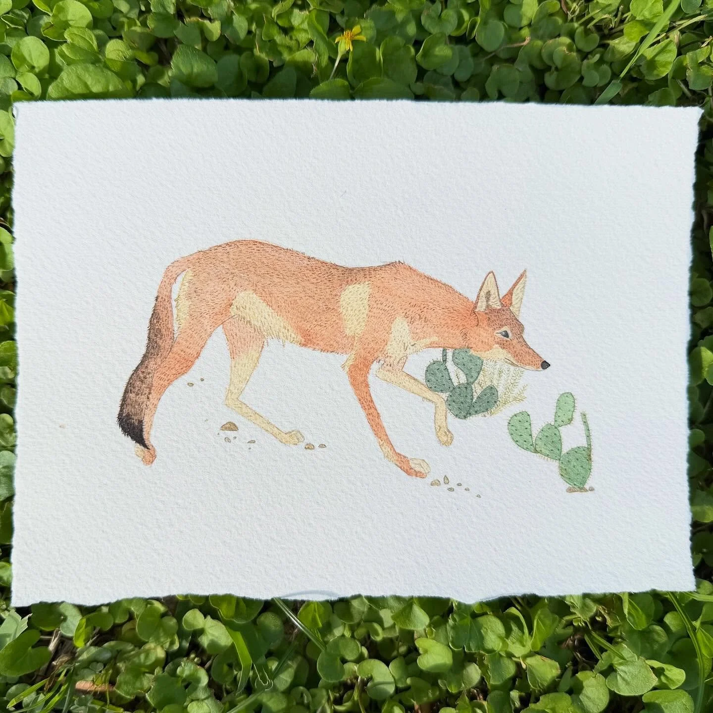 Scoping out the weekend like&hellip; 👀 Three days of painting wily coyote here with an entire day devoted to the detail of his hair alone. I love slowing down and focusing on just one tiny thing, though &mdash; it makes my brain so happy and quiet! 