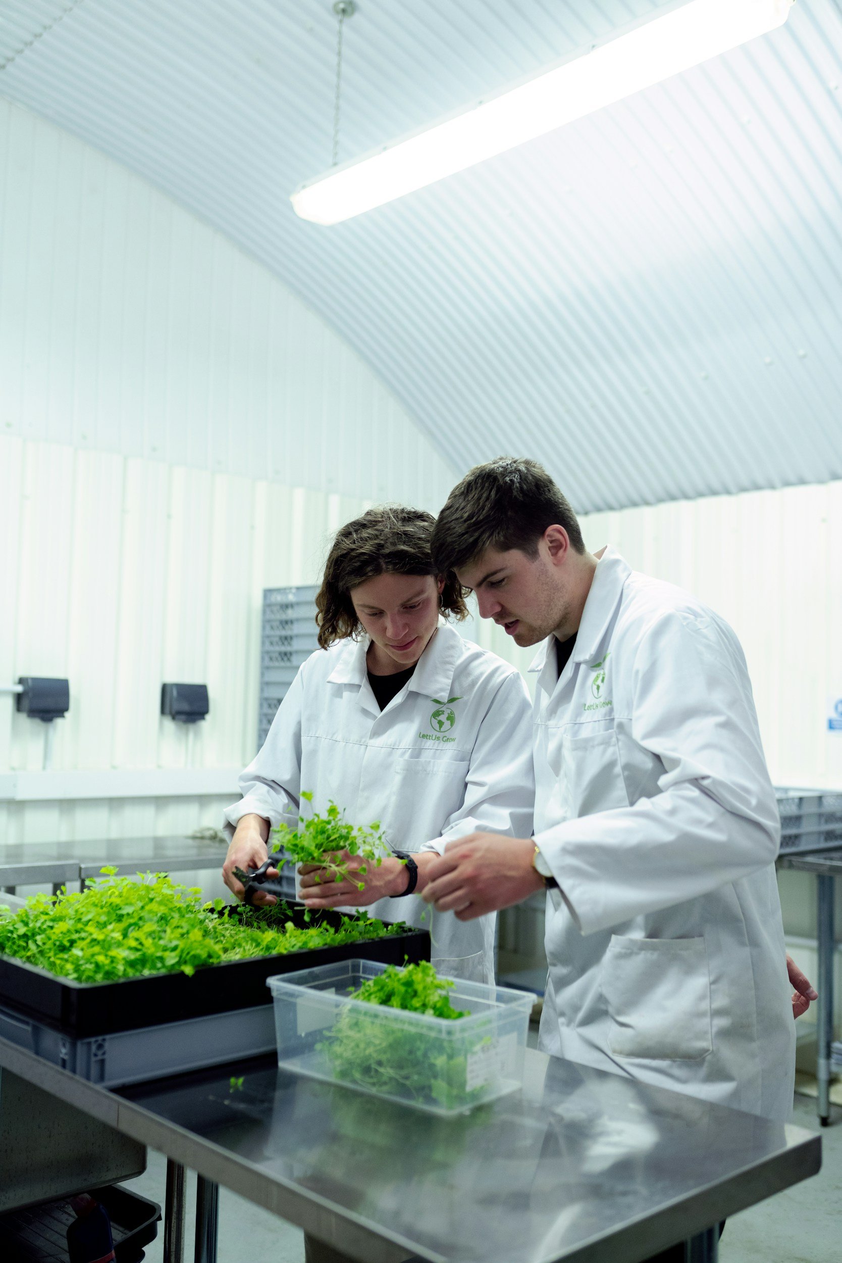 Two people in white lab coats examining green plant seedlings in a lab.