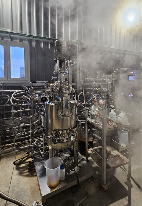 Laboratory reactor system with multiple pipes, gauges, and a steaming vessel, connected to various control units and containers.