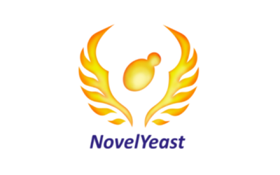 Logo for Novel/Yeast featuring stylized flames and a yeast cell in the center.