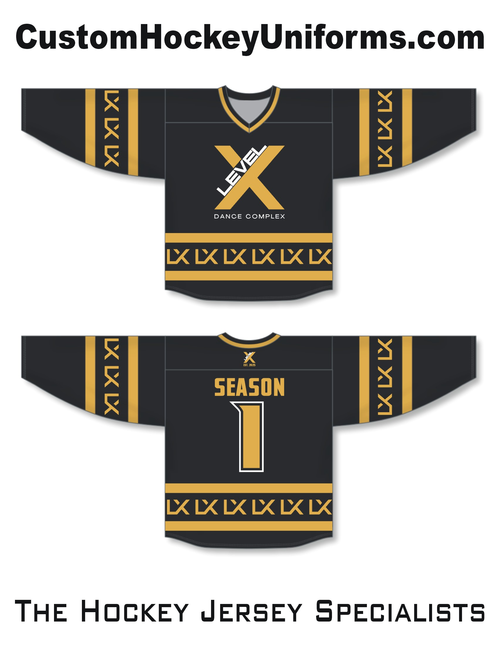 Level X Dance Complex Custom Hockey Jersey