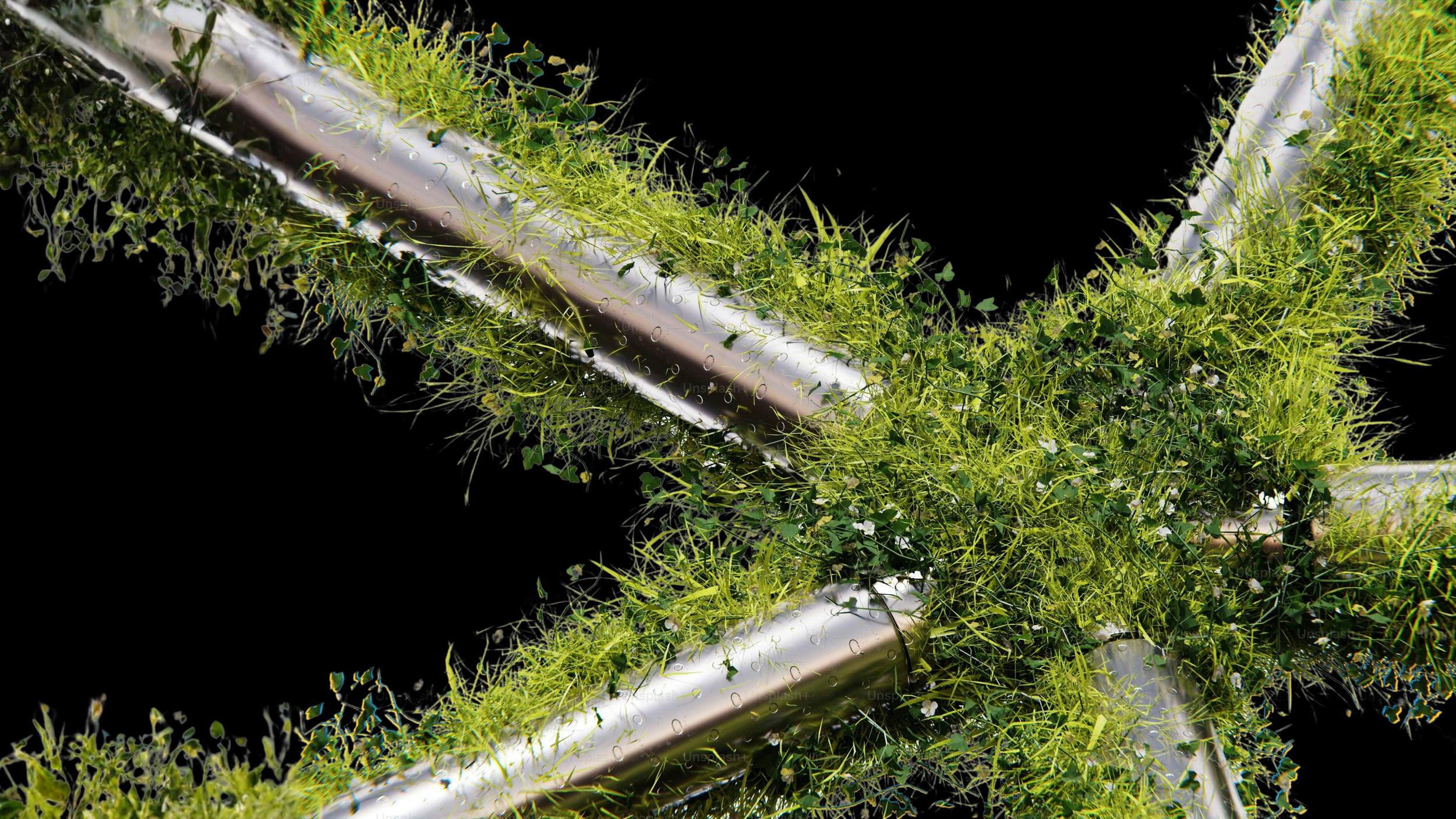 Close-up of a metallic structure overgrown with green plants and vines, with a black background.
