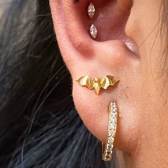 Capture d'écran 2025-10-11 174728.png