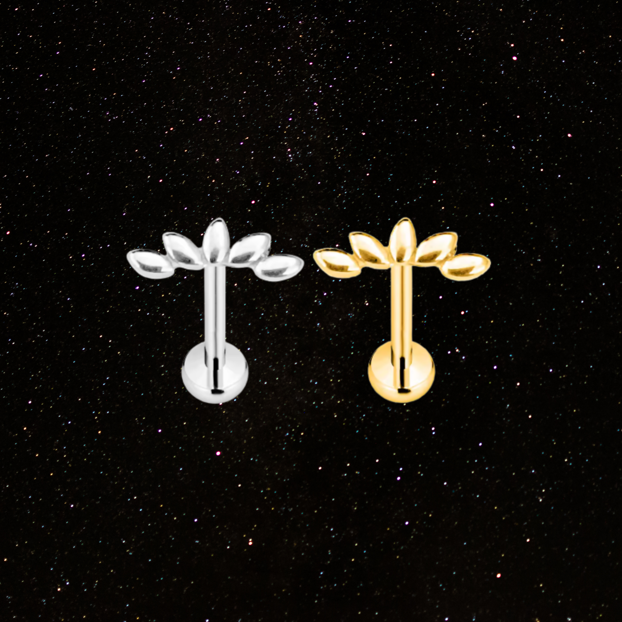 Piercing Labret TITANE