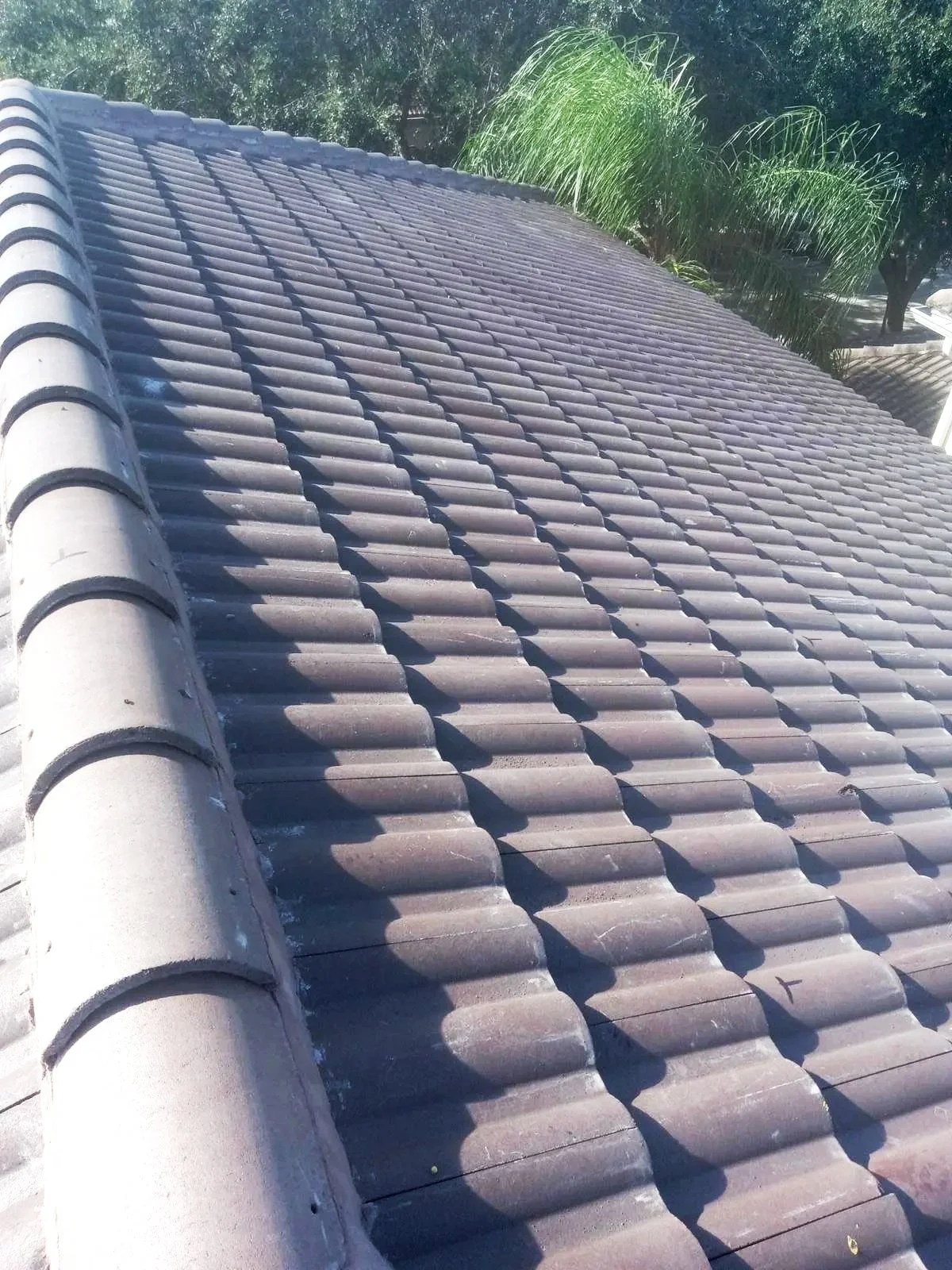 View of a tiled roof with gray curved tiles, showing a ridge and some greenery in the background.
