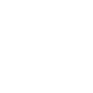 Lyon's Den