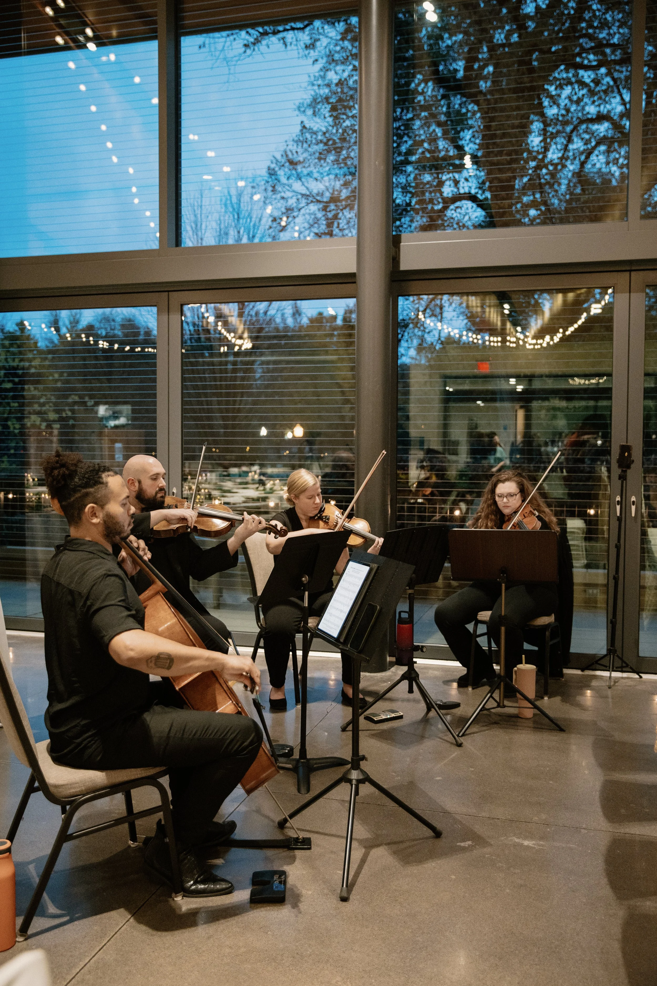 Radiant Strings playing at an indoor event during the evening, with large windows revealing a tree and string lights outside.