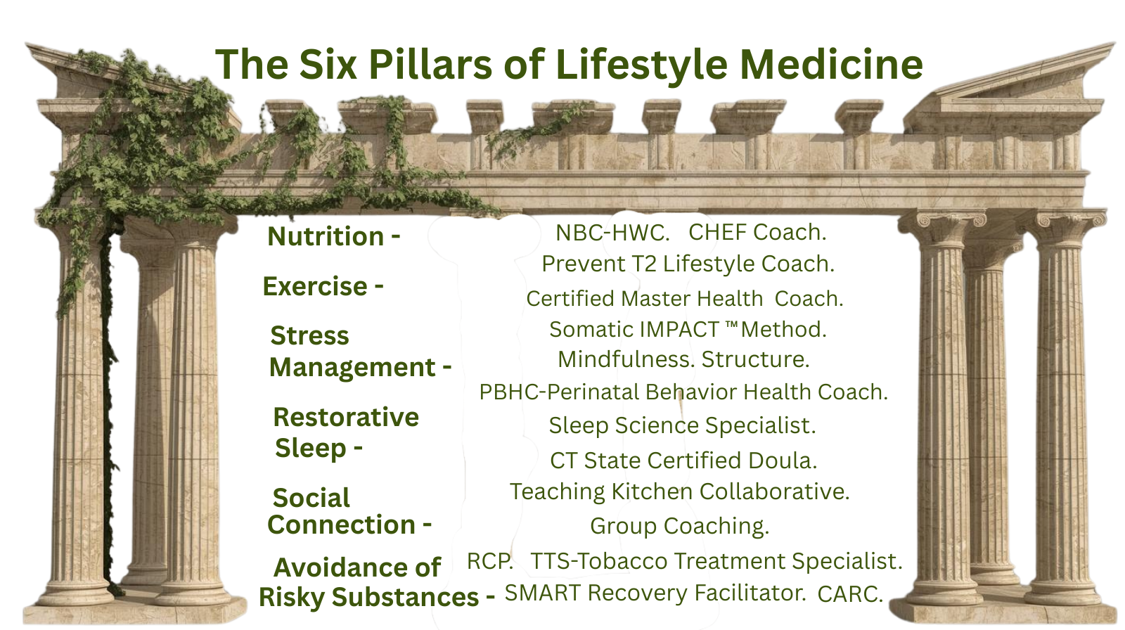 'The Six Pillars of Lifestyle Medicine' : Nutrition, Exercise, Stress Management, Restorative Sleep, Social Connection, and Avoidance of Risky Substances. Tracey Saxon's Credentials. MotivatedAndSuccessful.com