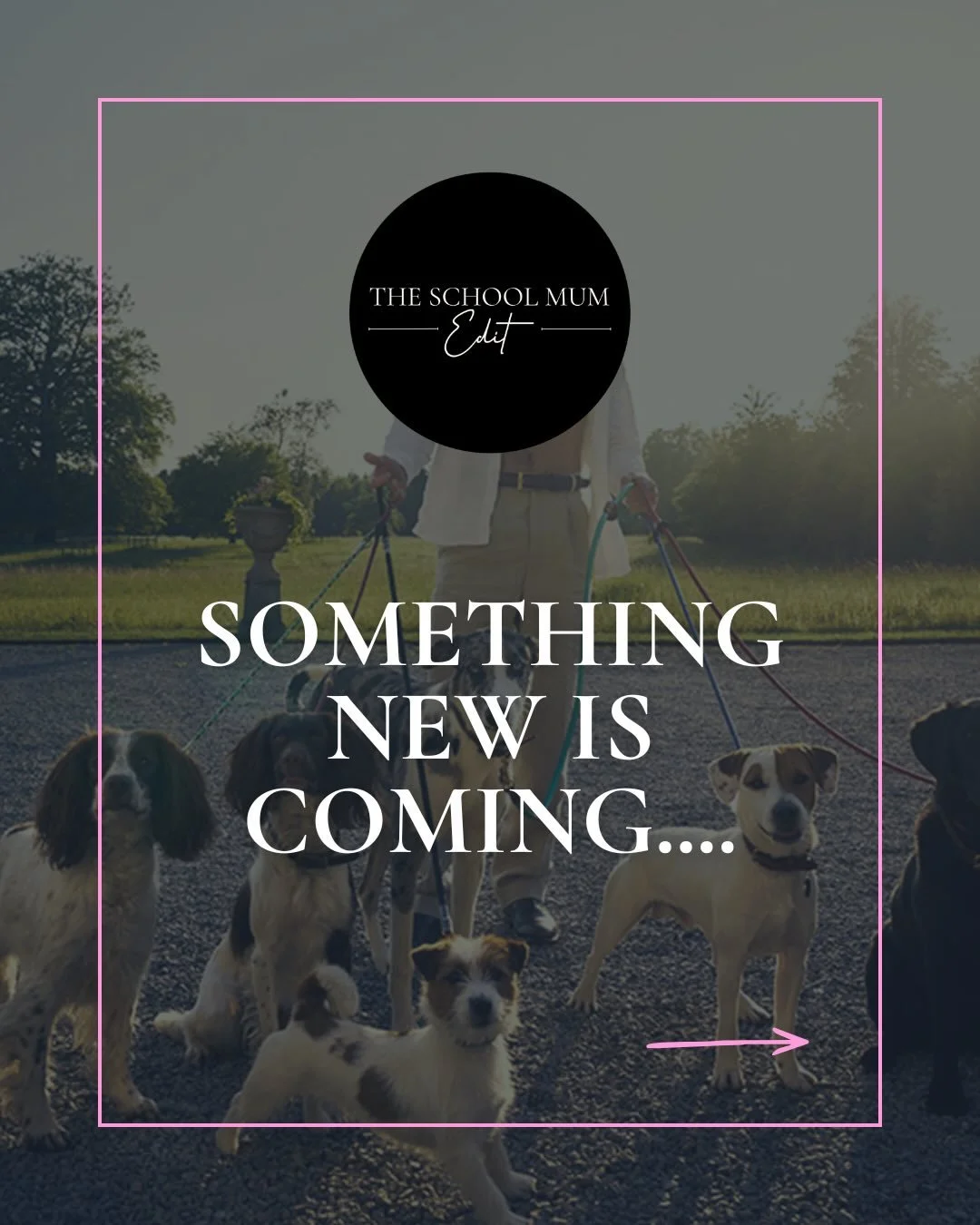 📚Our Sex in The Country book club is coming soon!
Think lots of fun, laughter and some intellectual discussion thrown in too! 

📚We will be selling tickets to our first Book Club event soon so make sure you are on the mailing list or our WhatsApp g