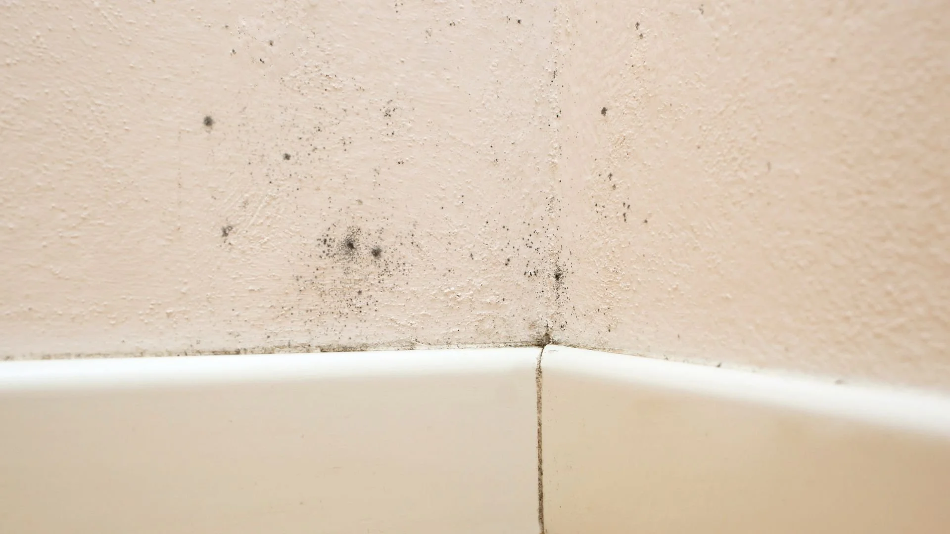 Mold Remediation Basement Restoration Lewis Center OH
