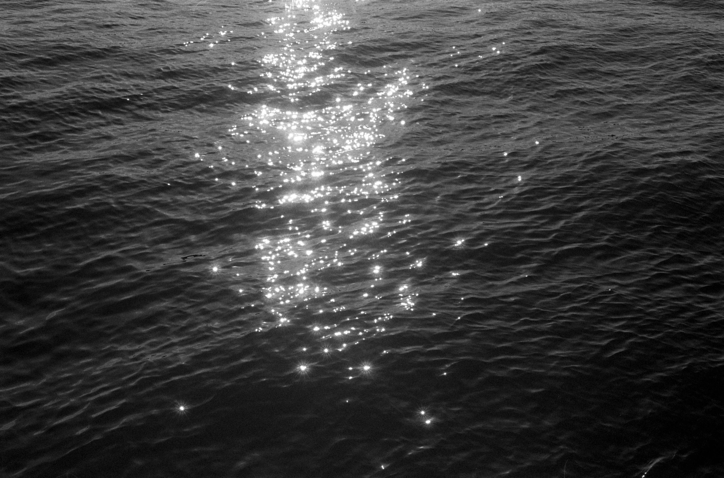 v008.jpg
