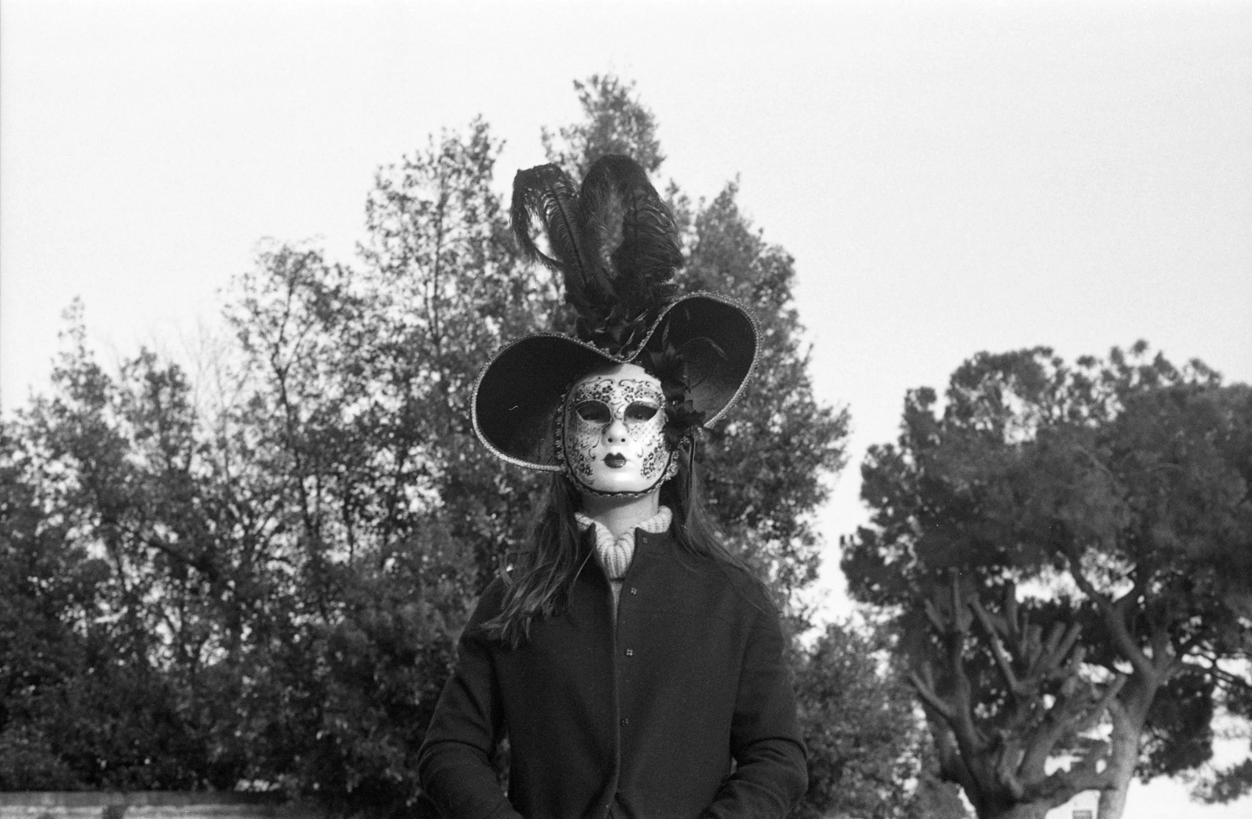 v010.jpg