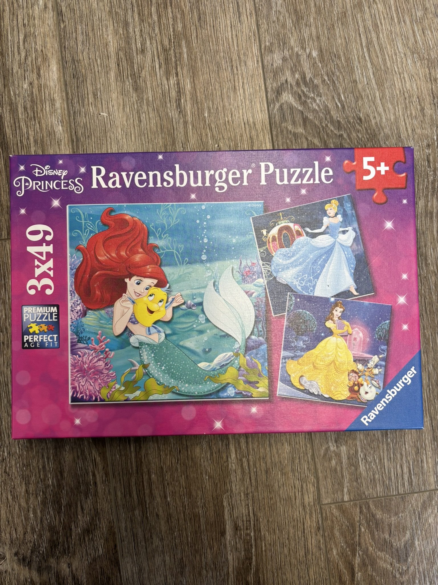 P17 Princess Puzzles
