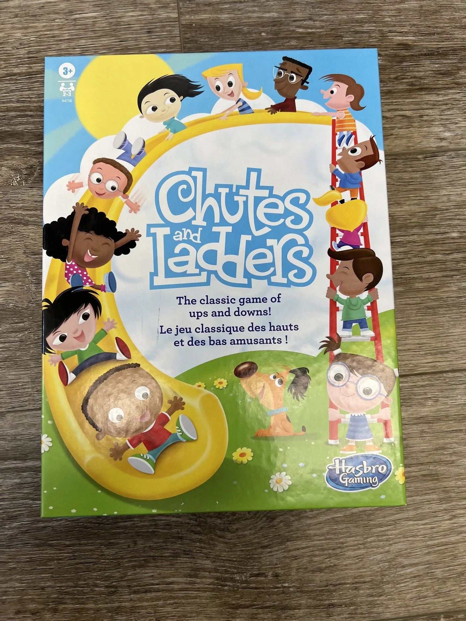 E13-Chutes and Ladders