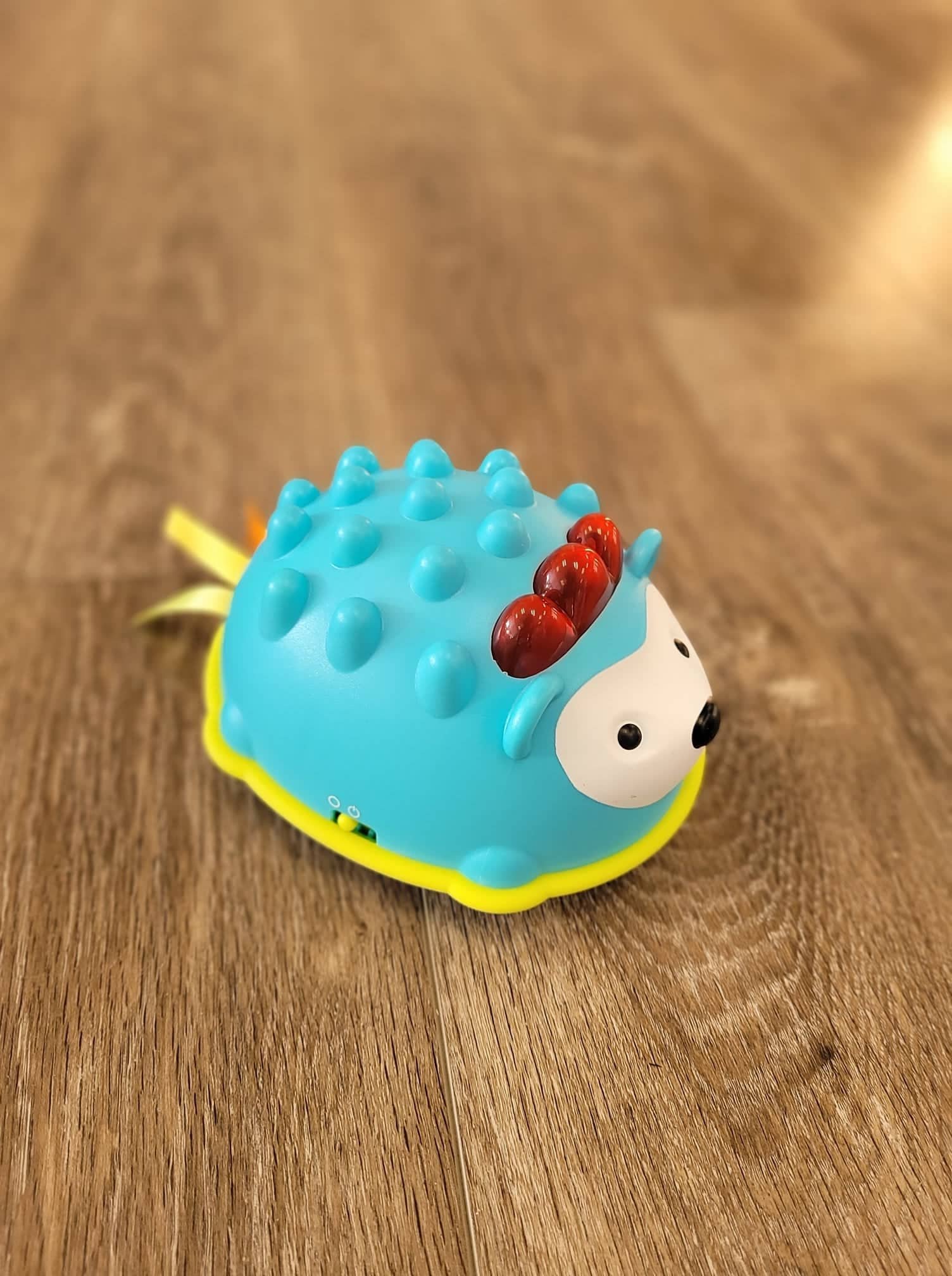 G04-Skip Hop Baby Crawl Toy