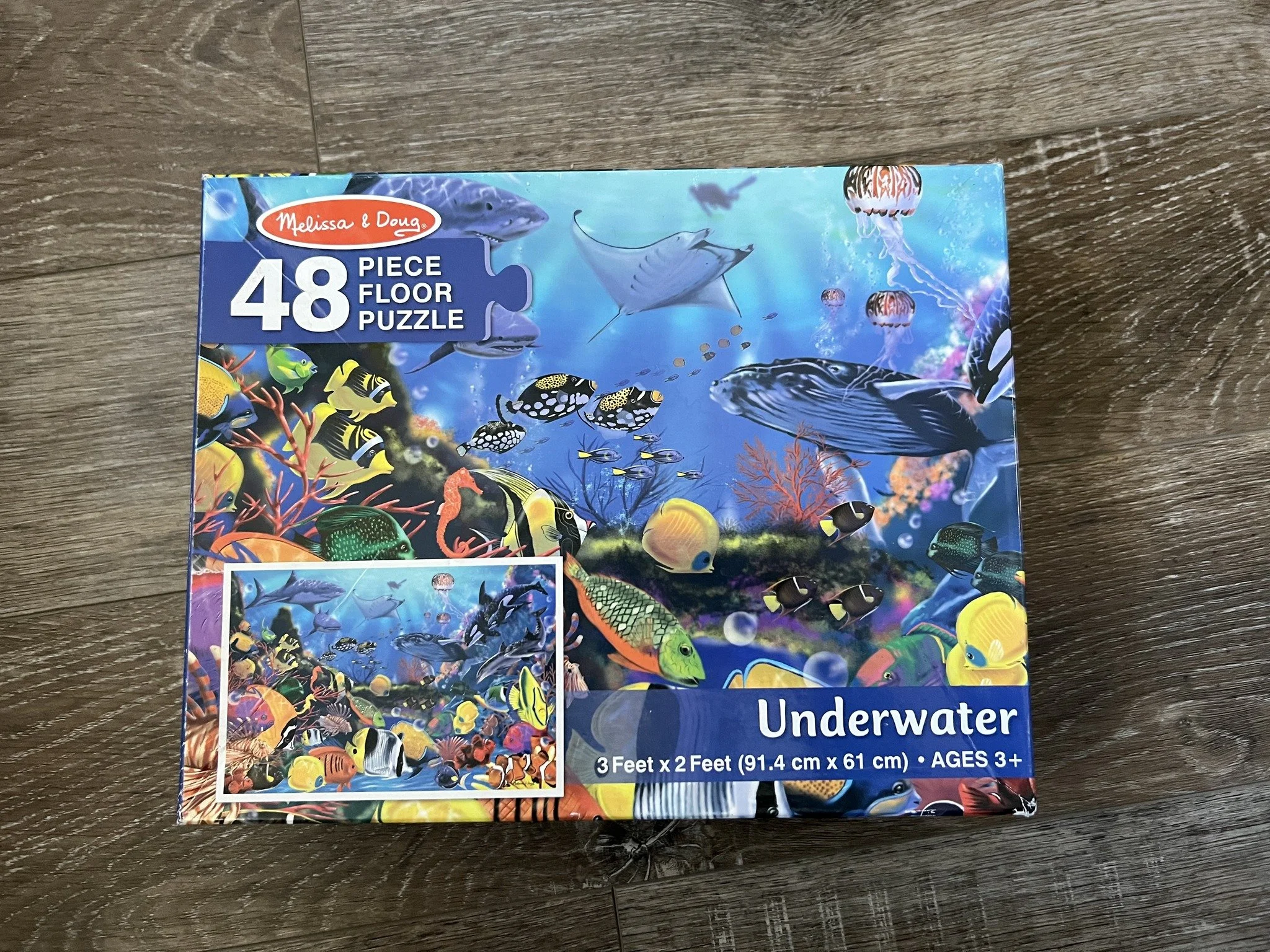 P05 Underwater Floor Puzzle