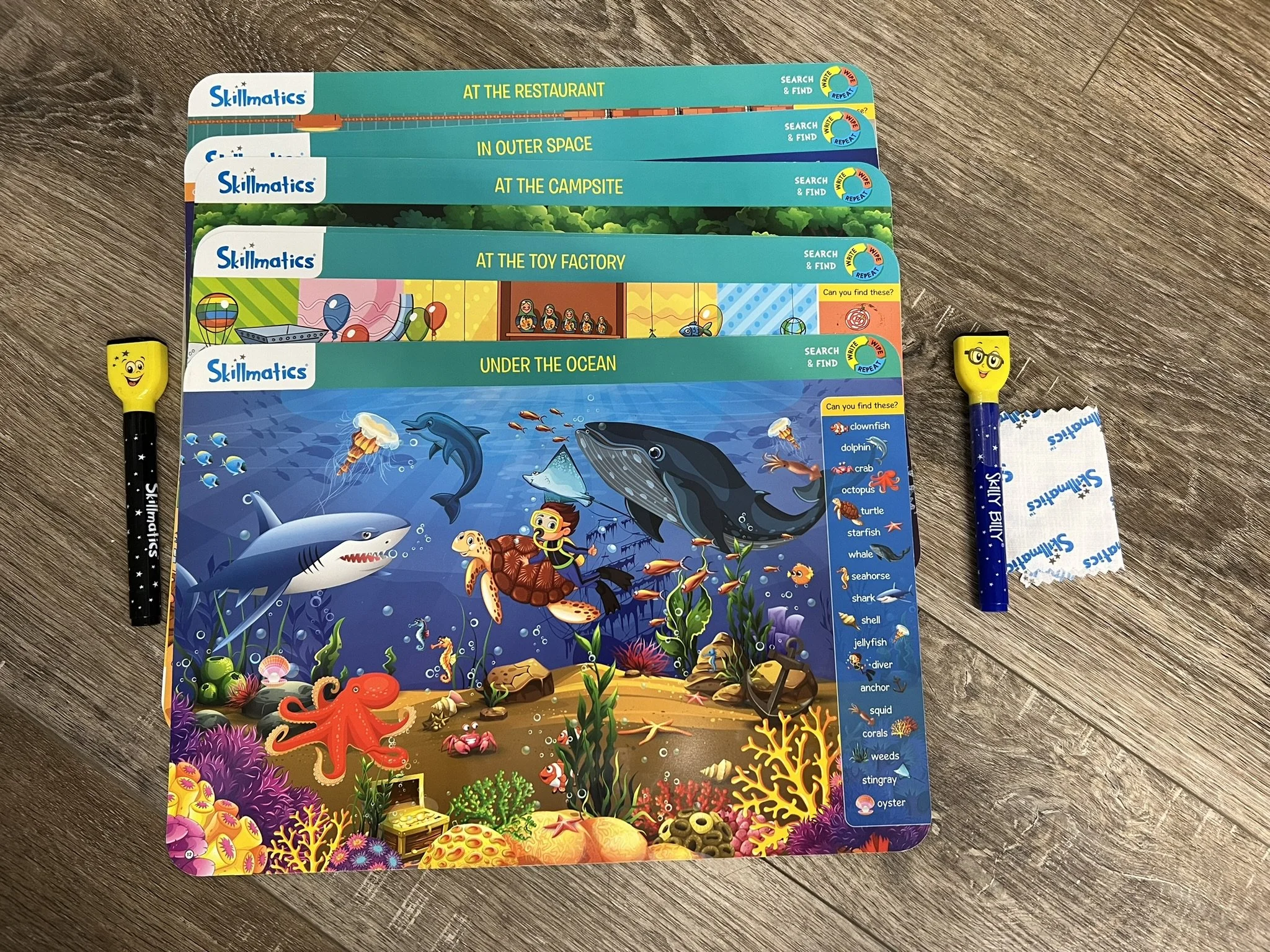 E21-Search & Find Write and Wipe Activity Mats