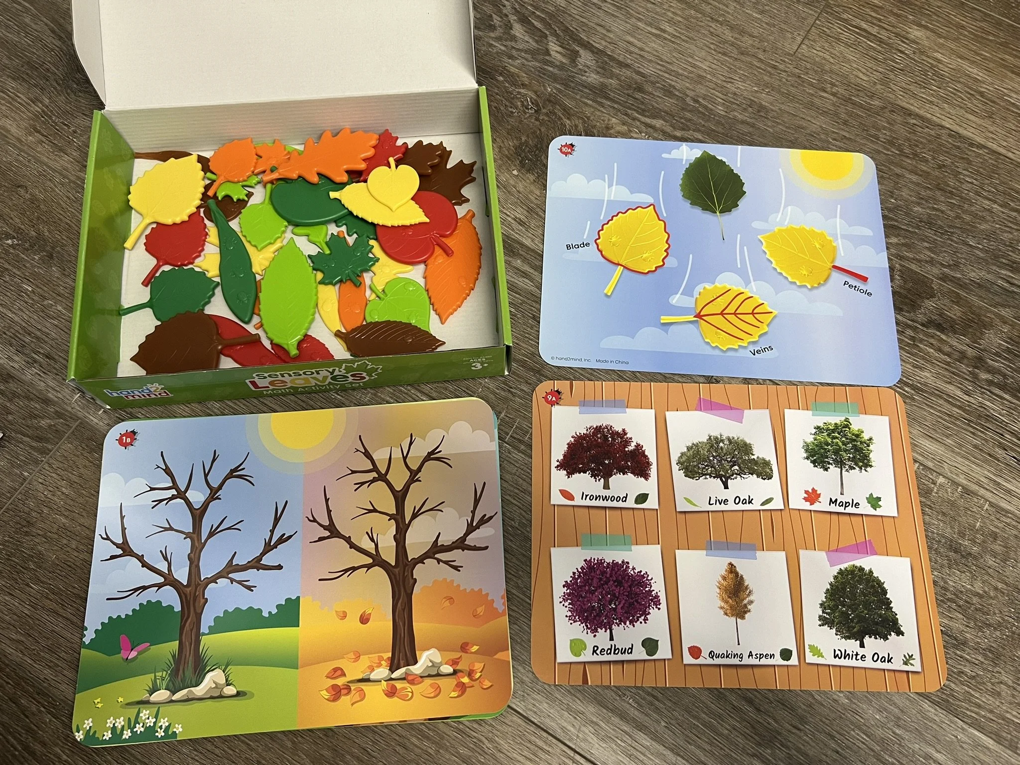 E23-Sensory Leaves Math Activity Set