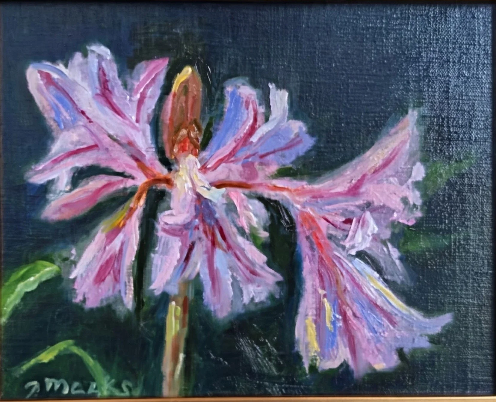 Enchantment - Jill Meeks