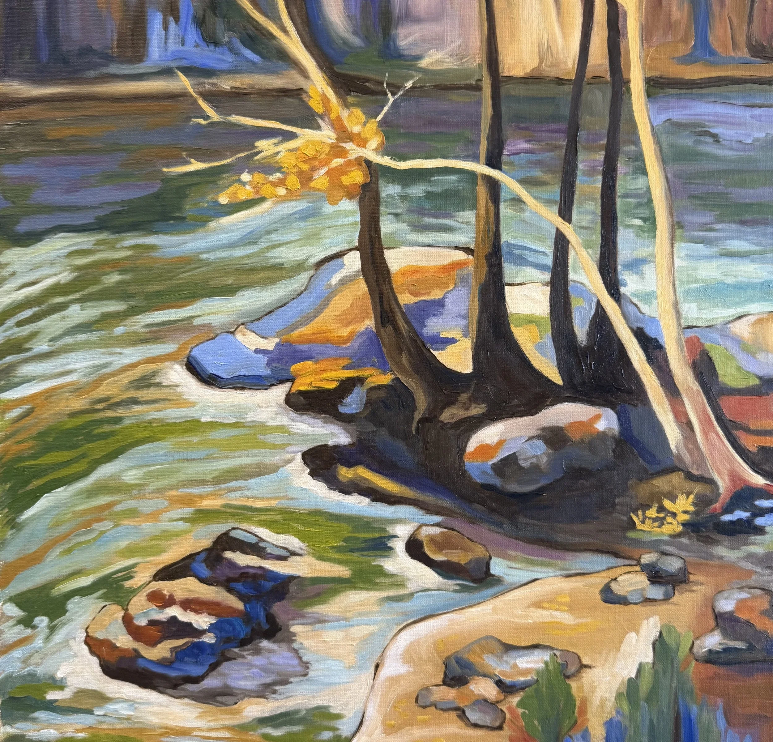 Cove on Lake Wylie - Nancy Winker