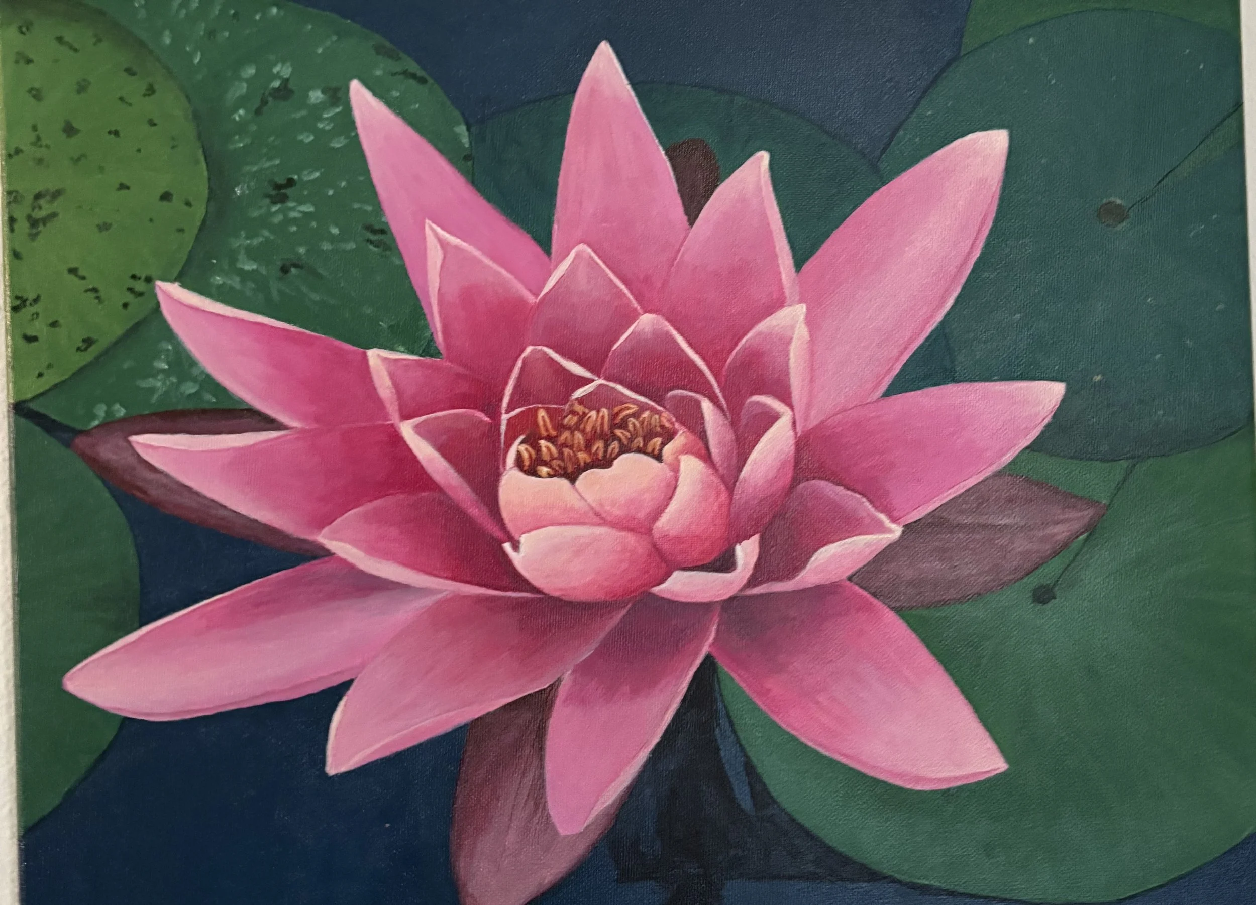 Water Lilly