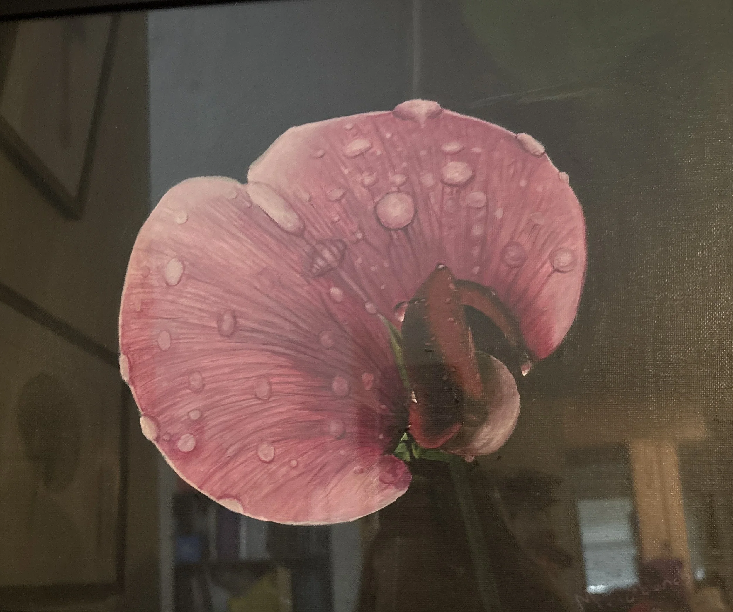 Sweetpea