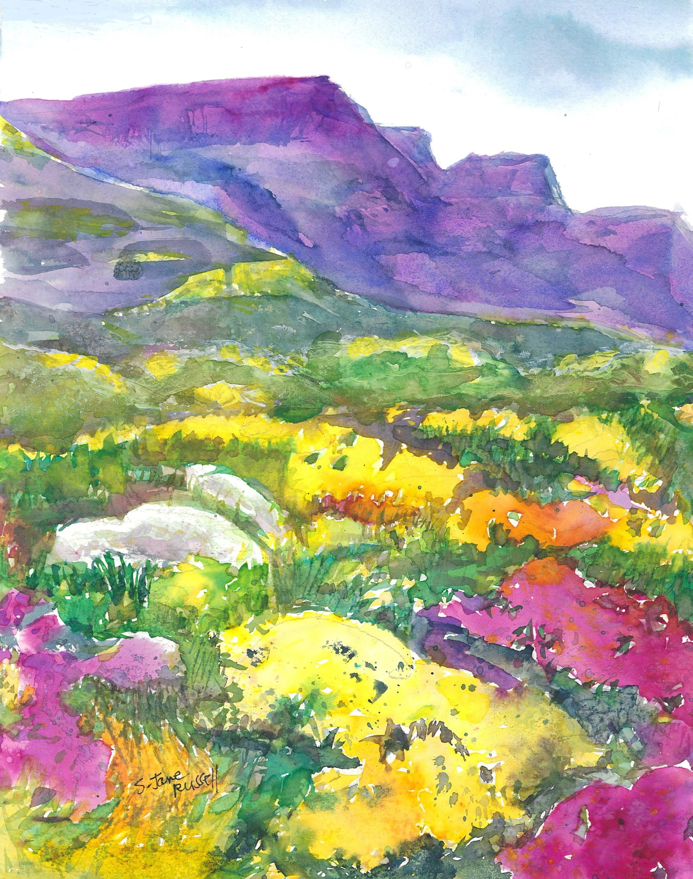 Purple+Mtns+Flowering+Plains.jpg
