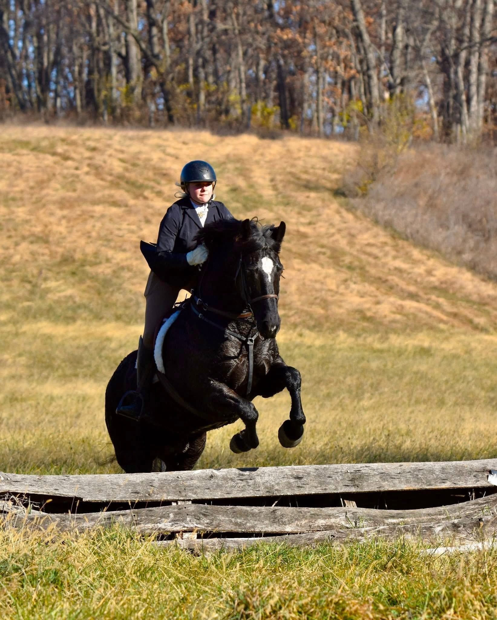 A young woman in riding gear, including a helmet and black jacket, riding a black horse over a wooden obstacle in an outdoor field during autumn.