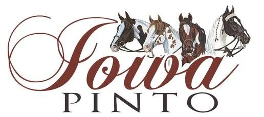Iowa Pinto Horse Association