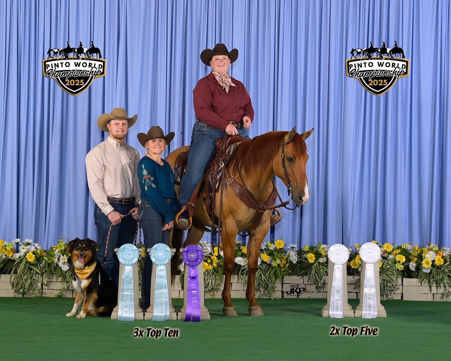 Group of three people and a dog at the Pinto World Championship 2025, with blue curtains, yellow and white flowers, and award ribbons. The woman on the horse is dressed in western attire, and the man and woman standing next to the dog are also dressed in western style. The dog, a black, tan, and white Aussiedoodle, wears a yellow bandana. Ribbons read '3x Top Ten' and '2x Top Five'.