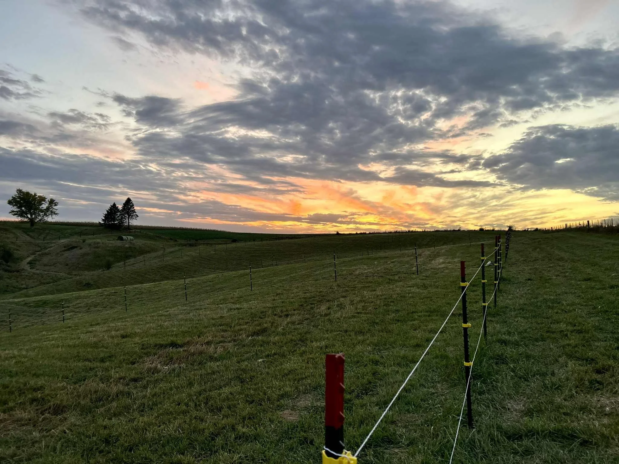 A grassy hill at sunset with a fence running along the right side, a group of trees on the left, and a colorful sky with clouds and orange, pink, and yellow hues.