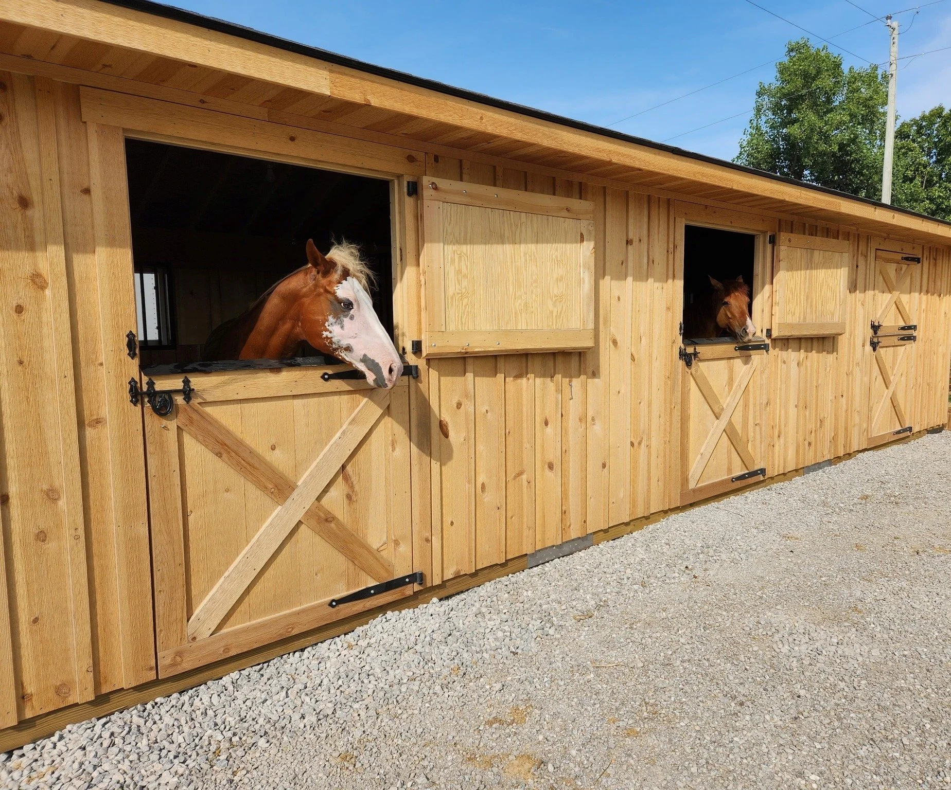 Two horses looking out of stalls in a wooden stable building outdoors.