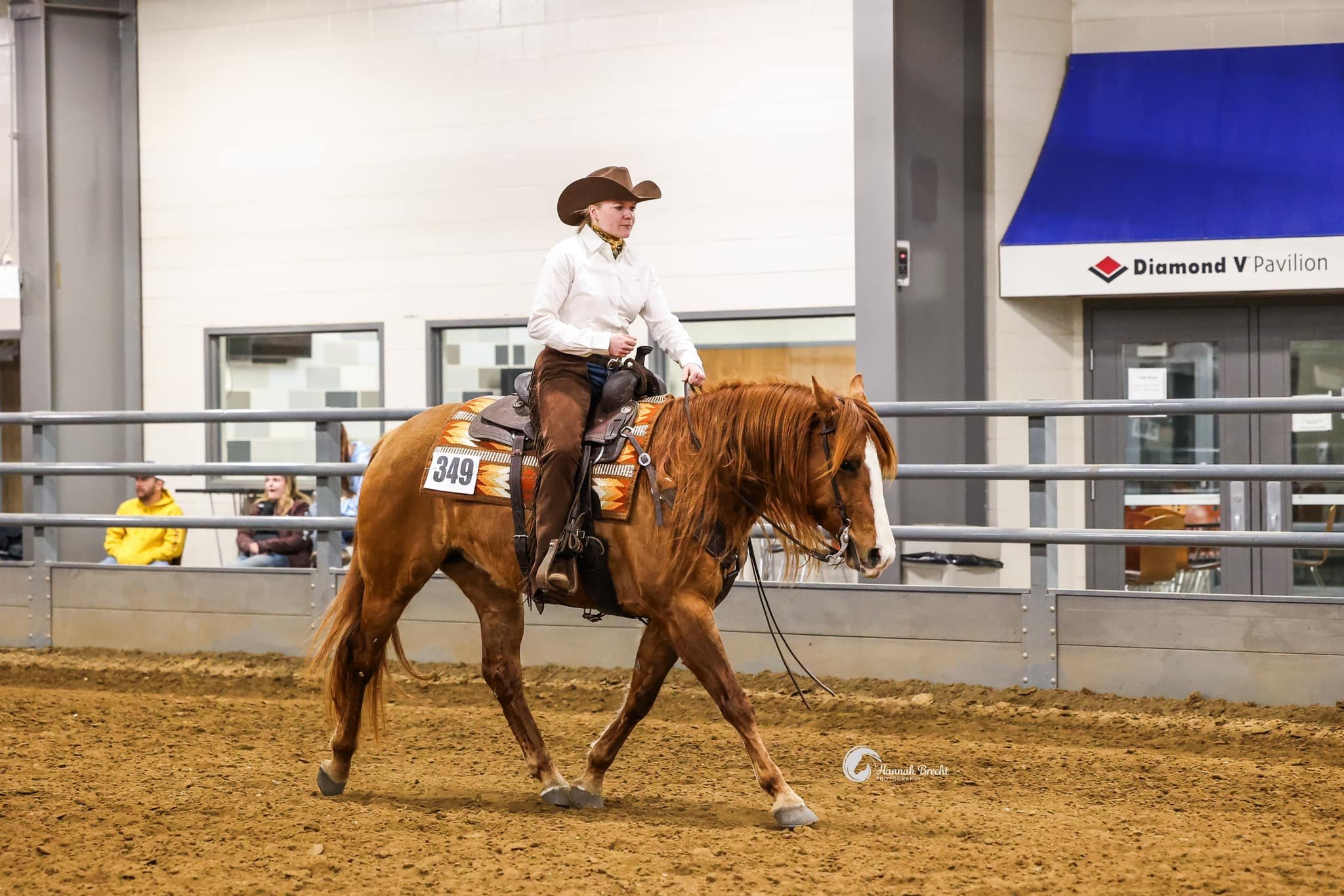 Woman riding a chestnut horse in an indoor arena at a horse show