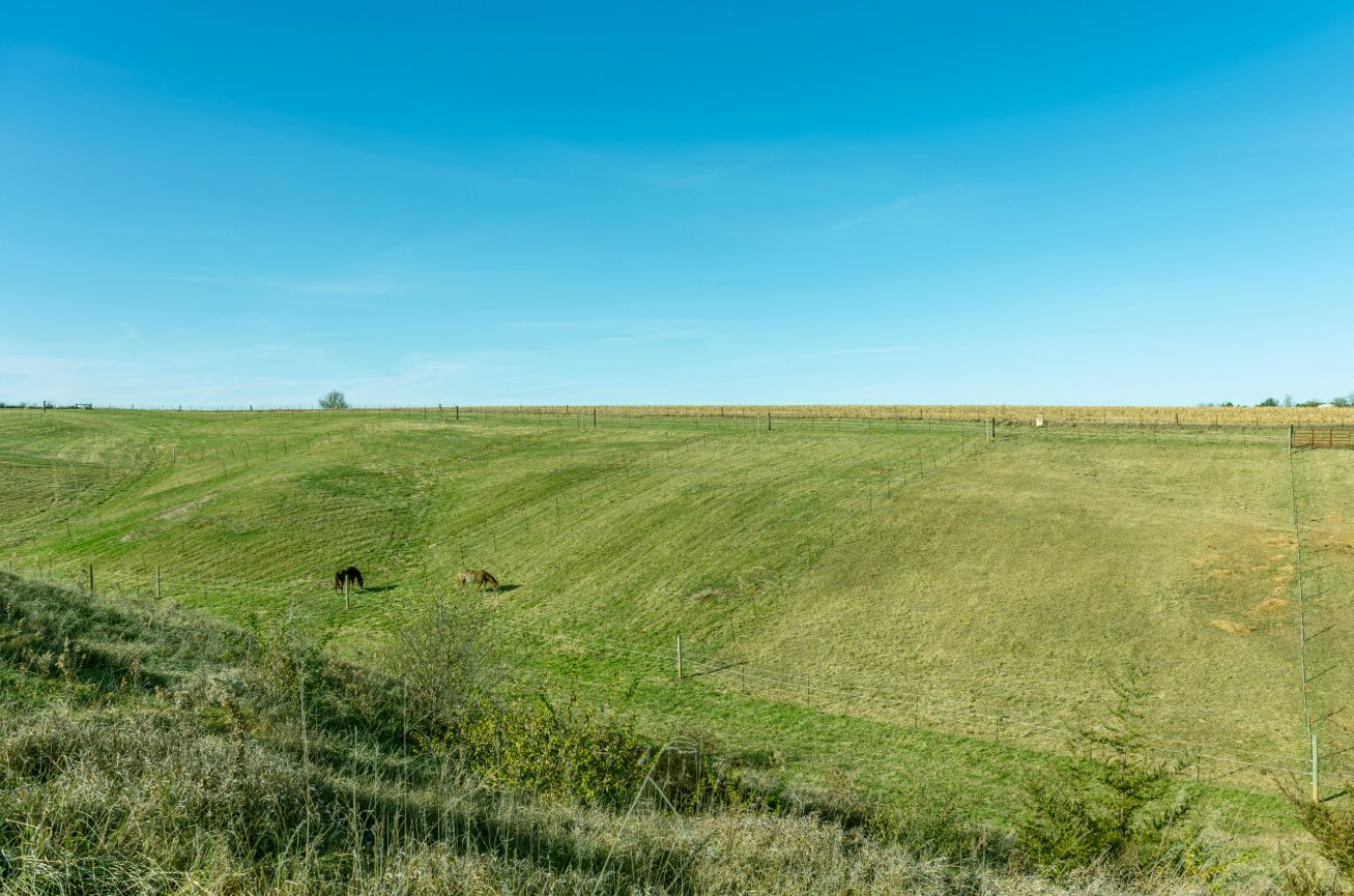 A rural landscape with green rolling hills, a clear blue sky, two horses grazing, and a few trees in the distance.