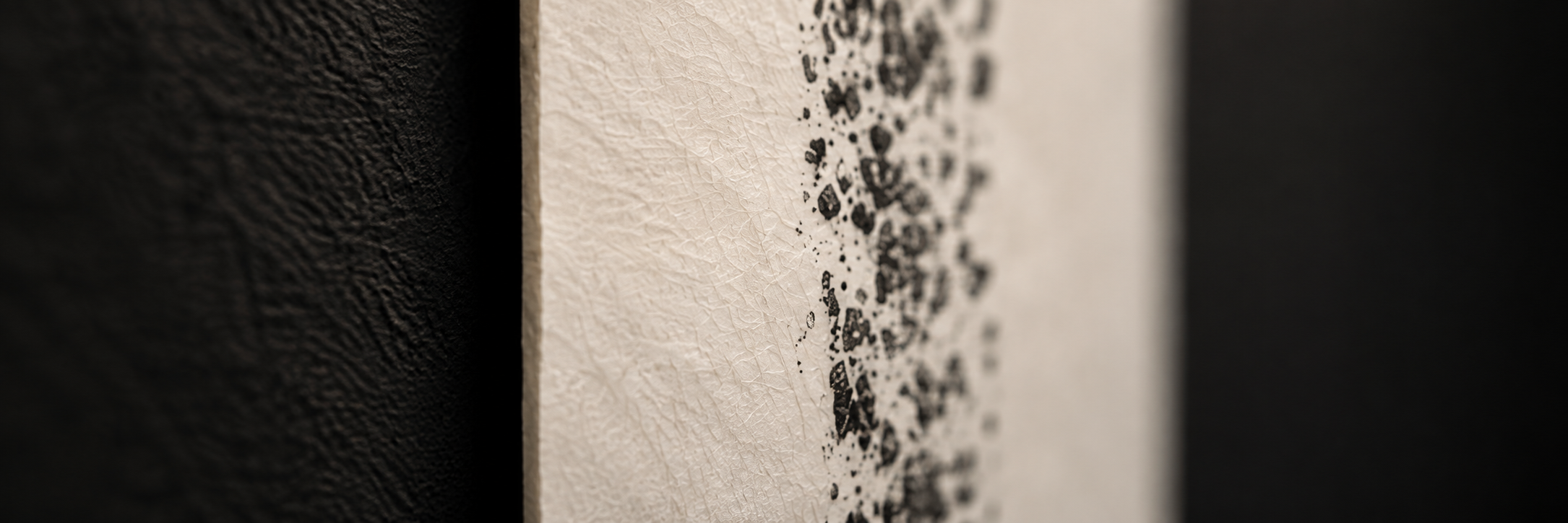 Détail de « Trace » de Florence Jarrige, empreinte noire sur papier Wenzhou révélant la texture du papier et les marques issues de la sculpture sur pierre.