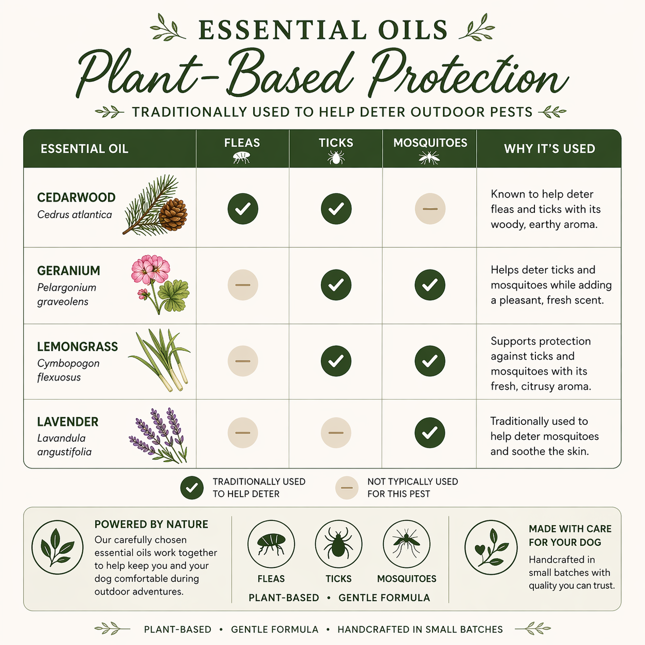 Natural Bug Spray for Dogs