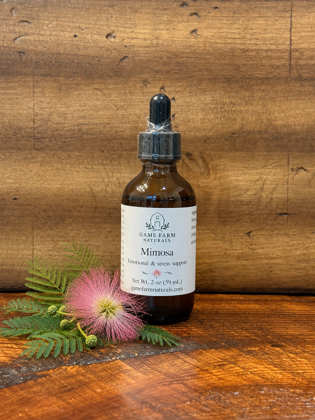 Mimosa