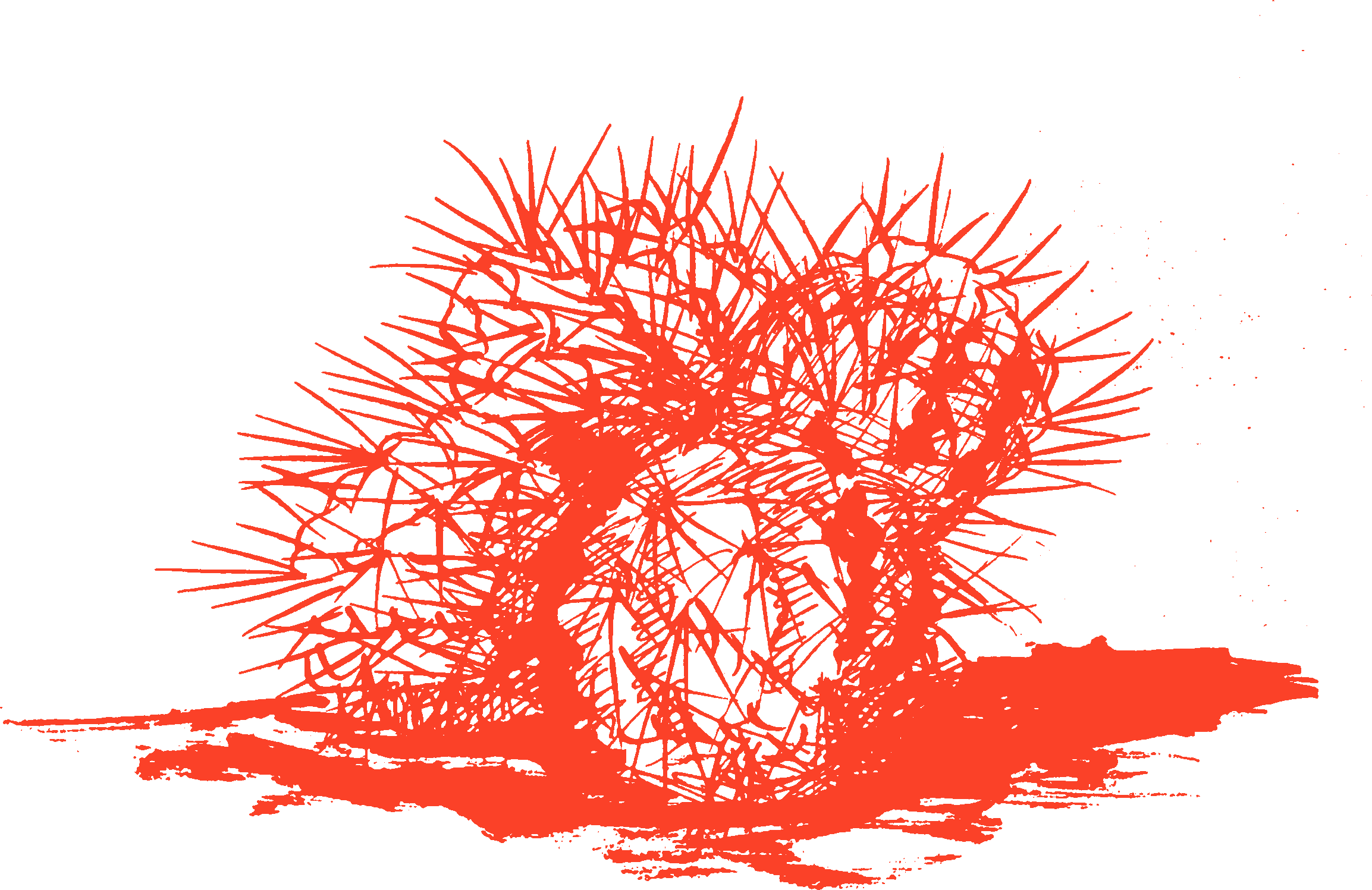 Hybrid Publishing or Traditional Publishing: What’s the Smart Choice for Your Book?